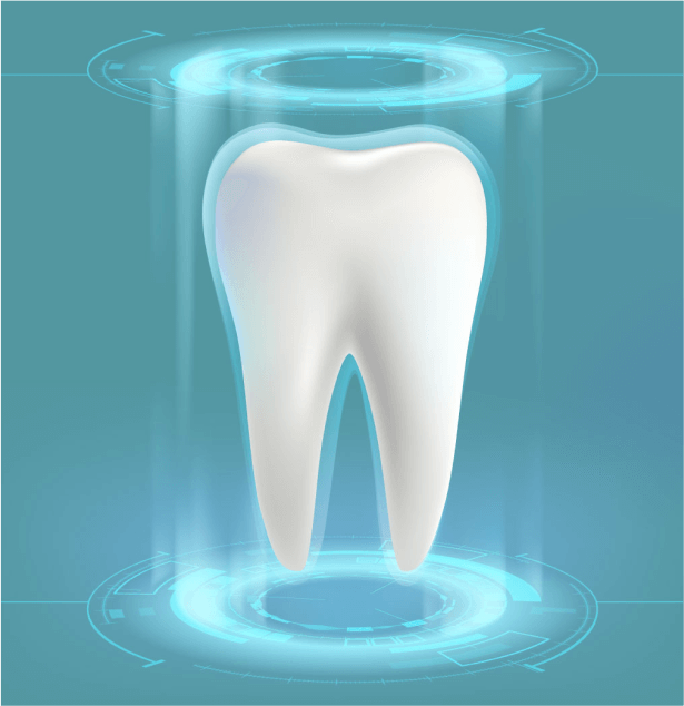 Teeth