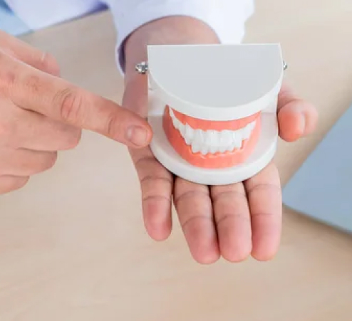 Teeth
